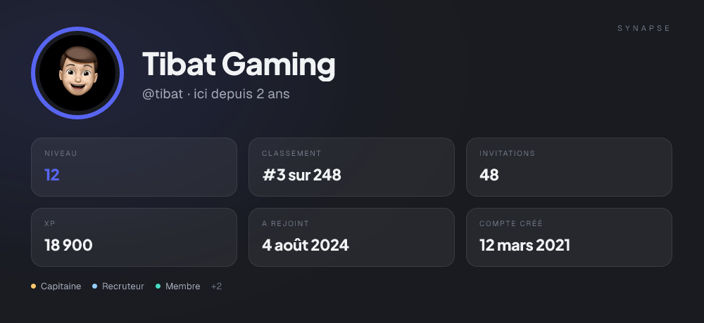 Carte /userinfo : le pseudo, l'avatar, le niveau, le classement, les invitations et les rôles d'un membre.